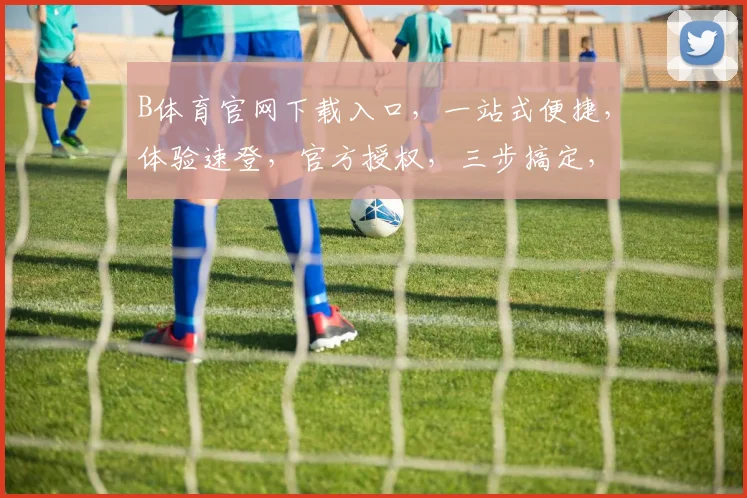 B体育官网下载入口，一站式便捷，体验速登，官方授权，三步搞定，轻松下载