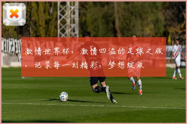 激情世界杯，激情四溢的足球之旅，记录每一刻精彩，梦想绽放