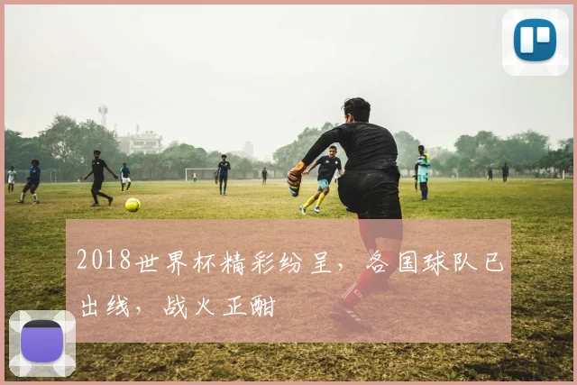 2018世界杯精彩纷呈，各国球队已出线，战火正酣