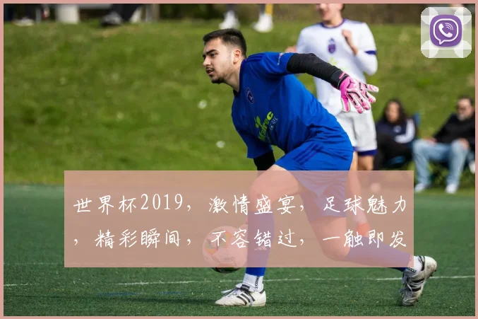 世界杯2019，激情盛宴，足球魅力，精彩瞬间，不容错过，一触即发