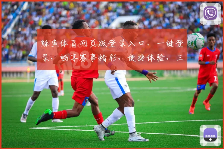 鲸鱼体育网页版登录入口，一键登录，畅享赛事精彩，便捷体验，三步解锁快乐